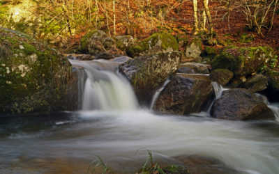 Ausflug in das Pesenbachtal