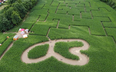 Das Maislabyrinth in Kronstorf